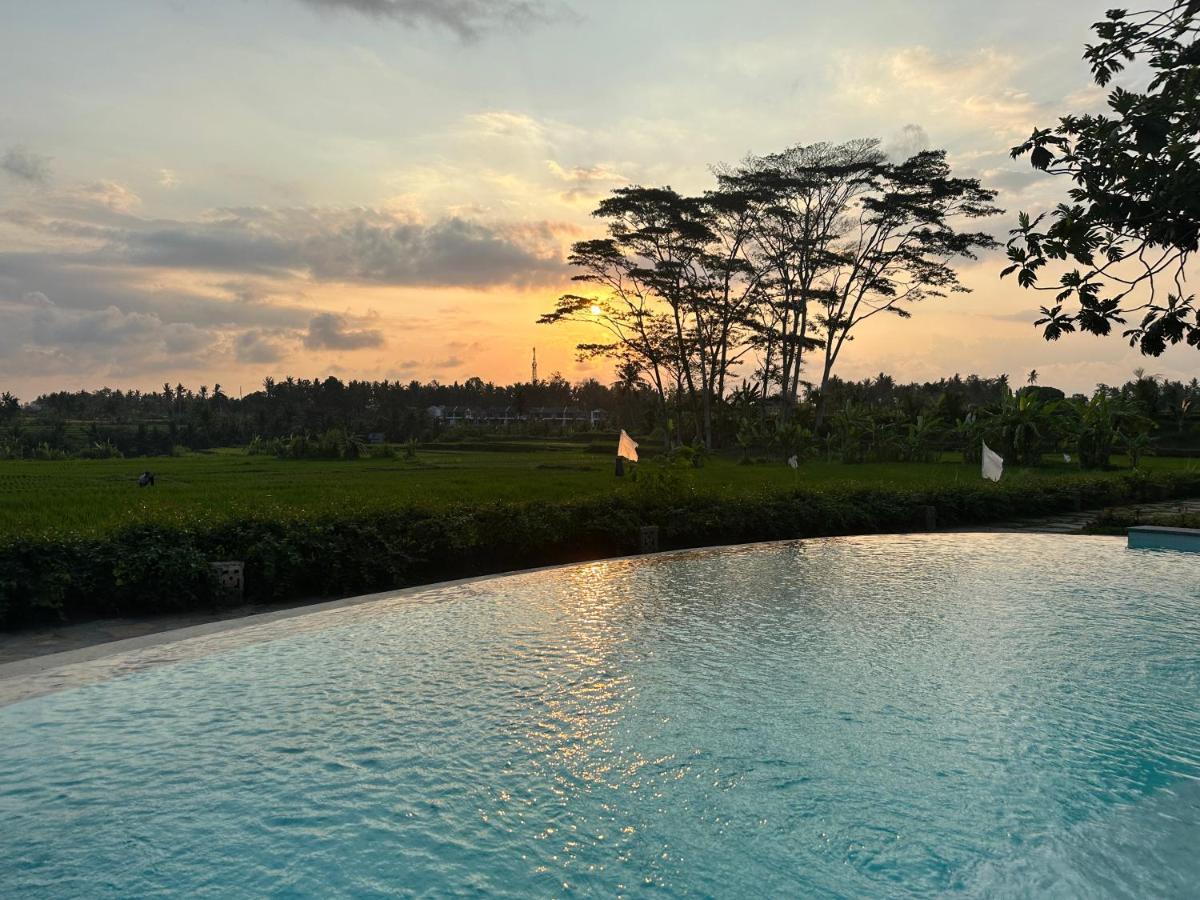 Griya Kcb Villa Ubud Dış mekan fotoğraf