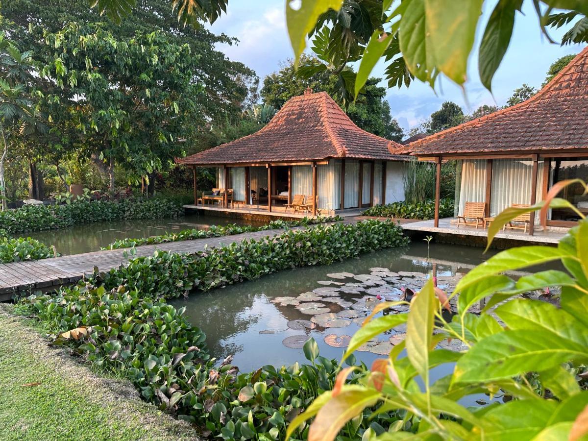 Griya Kcb Villa Ubud Dış mekan fotoğraf