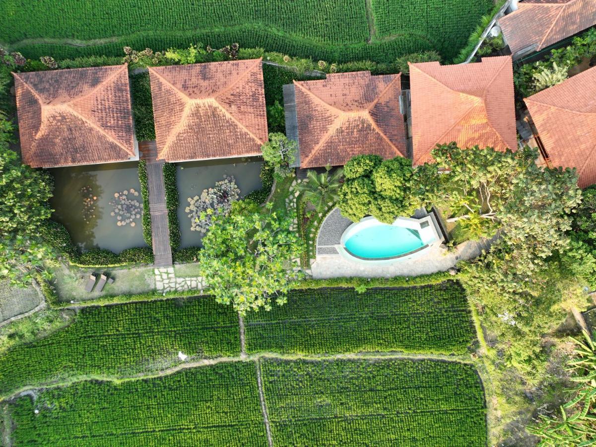 Griya Kcb Villa Ubud Dış mekan fotoğraf