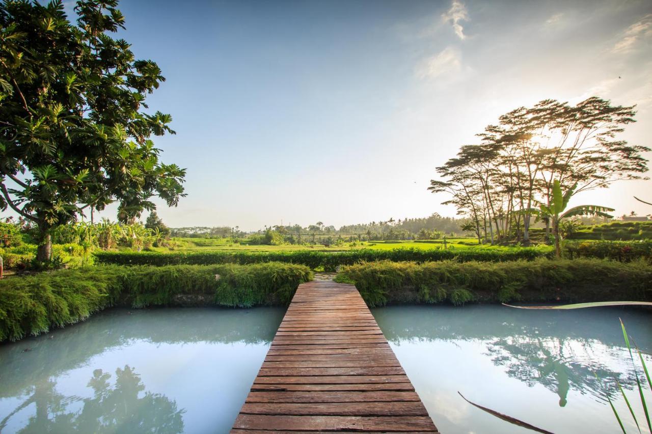 Griya Kcb Villa Ubud Dış mekan fotoğraf