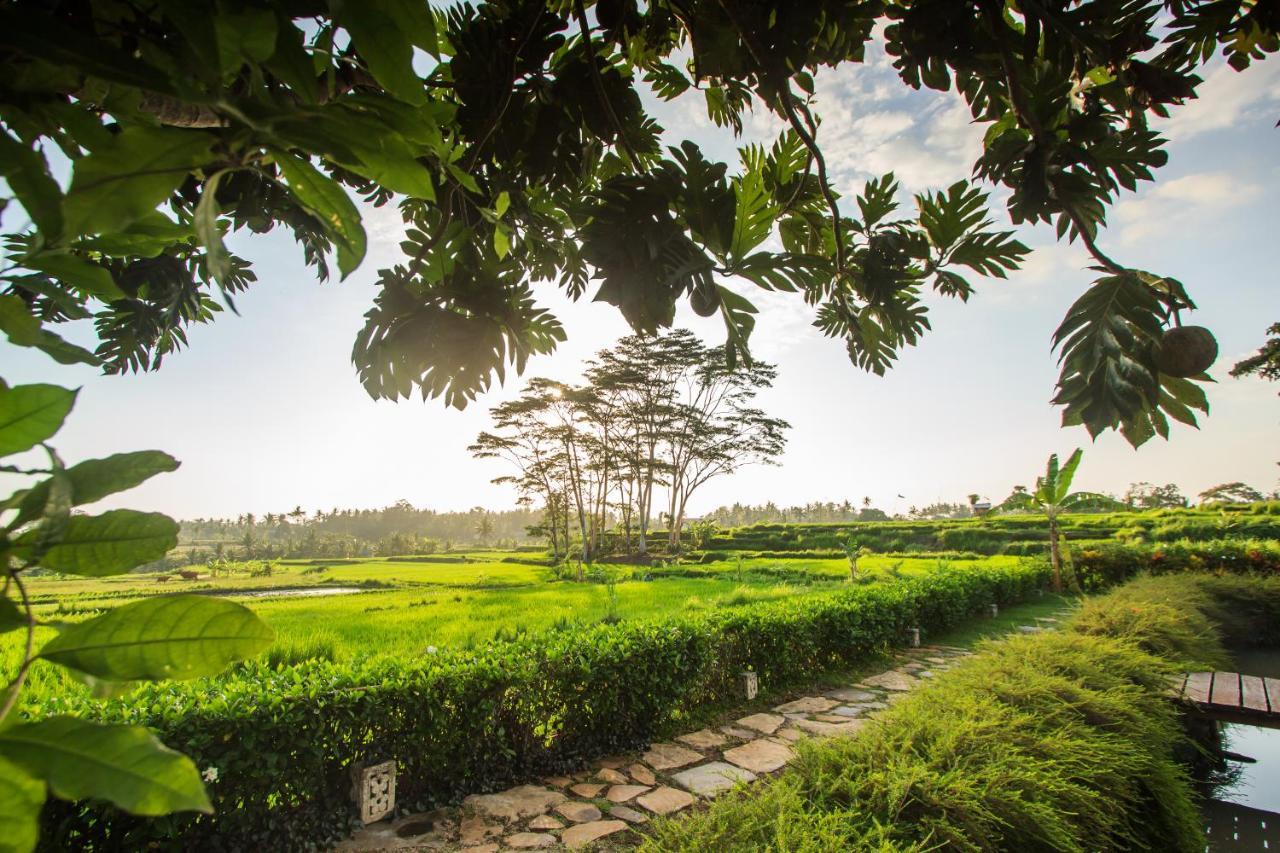 Griya Kcb Villa Ubud Dış mekan fotoğraf