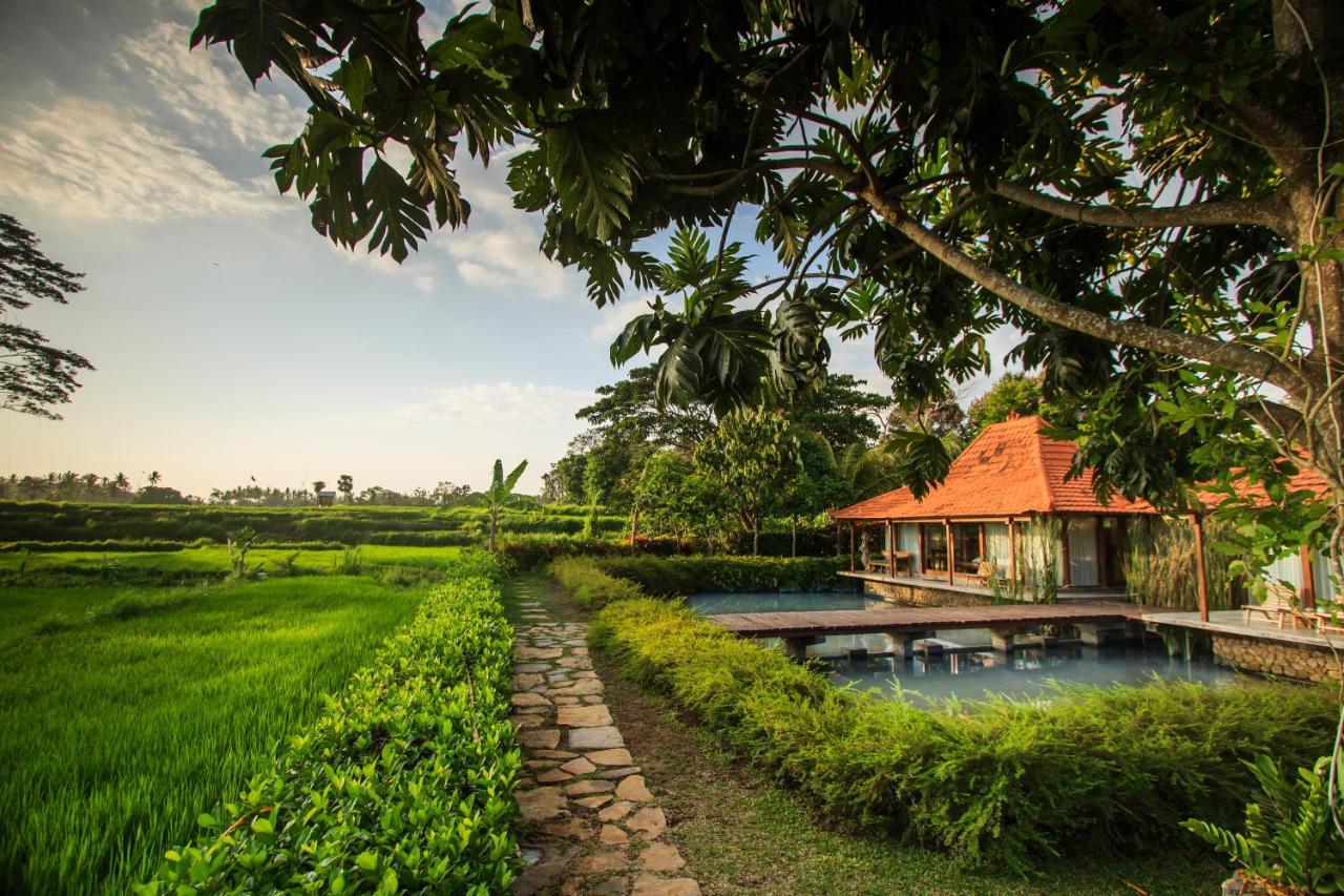 Griya Kcb Villa Ubud Dış mekan fotoğraf