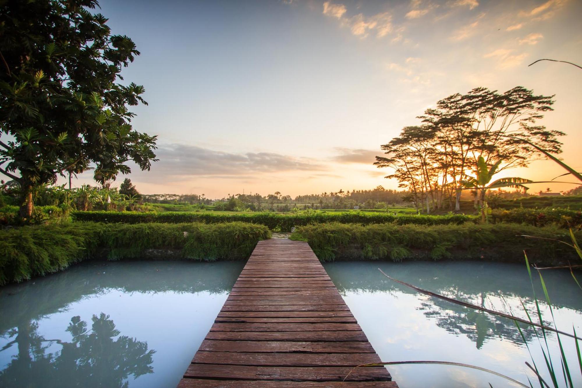 Griya Kcb Villa Ubud Dış mekan fotoğraf