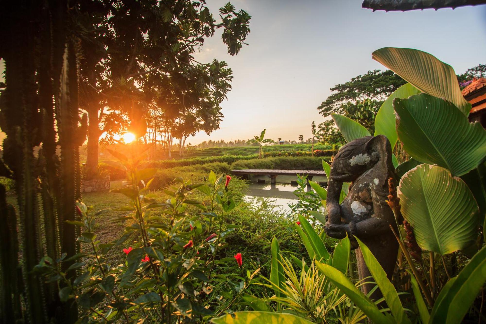 Griya Kcb Villa Ubud Dış mekan fotoğraf