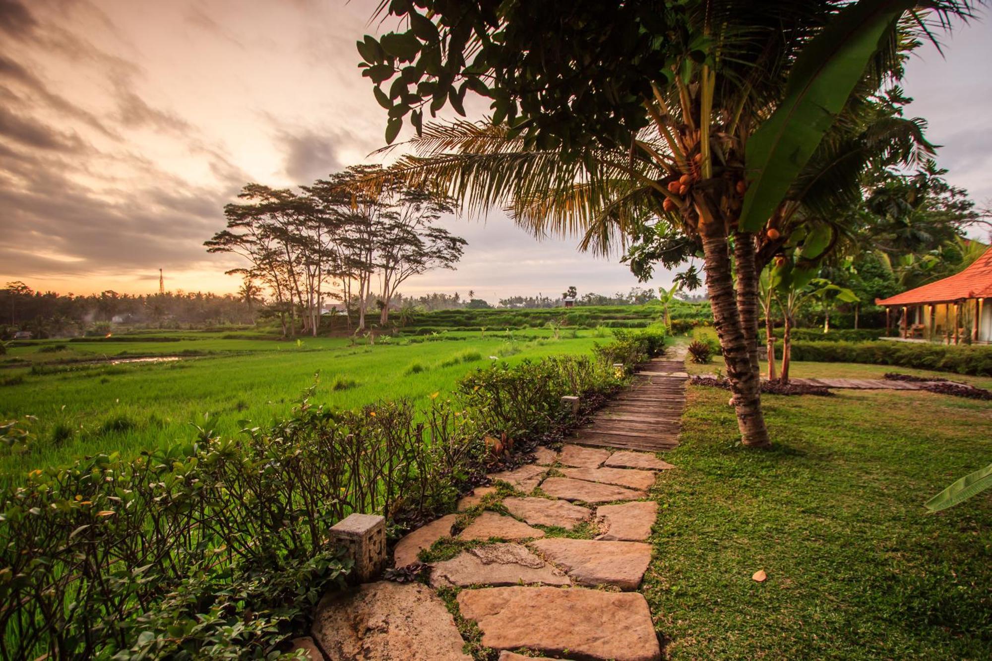 Griya Kcb Villa Ubud Dış mekan fotoğraf