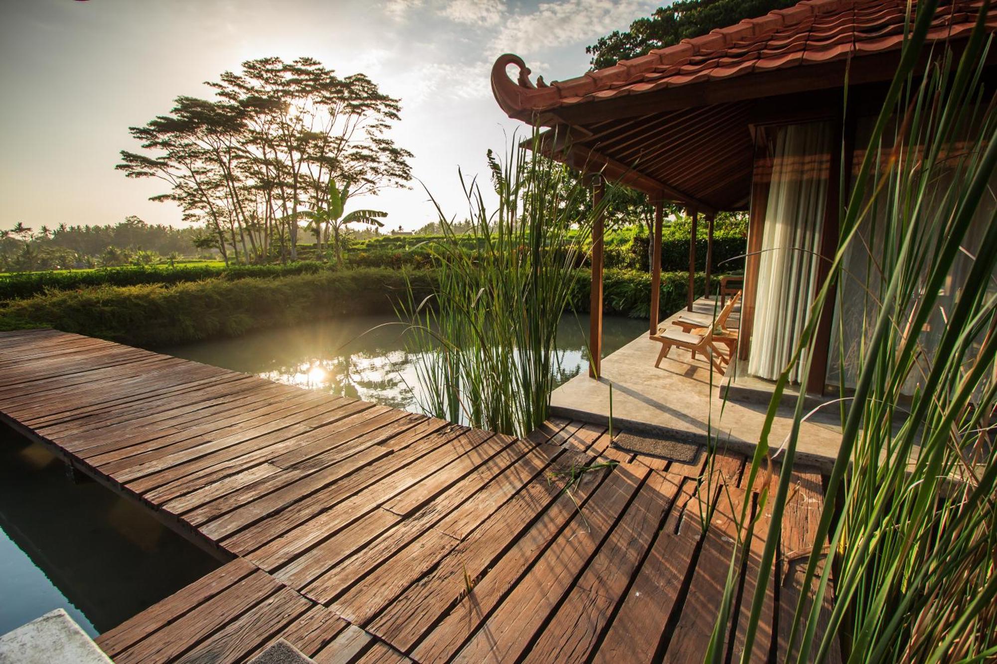 Griya Kcb Villa Ubud Dış mekan fotoğraf