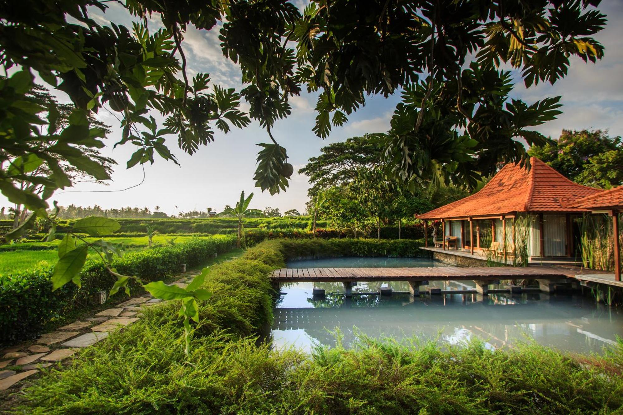 Griya Kcb Villa Ubud Dış mekan fotoğraf